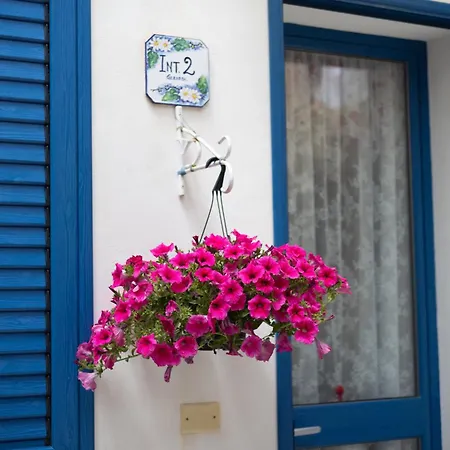 Apartment And Colorful Apartment!
